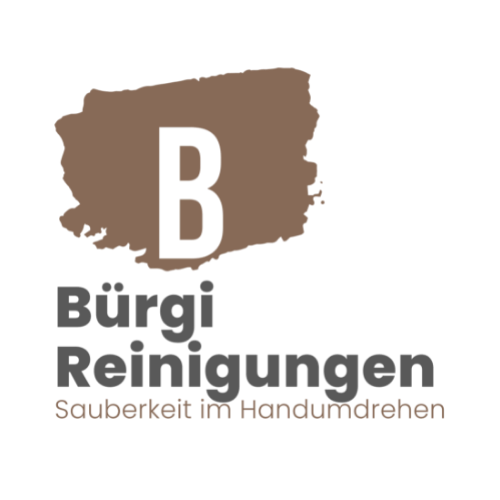 buergi-reinigungen.ch